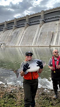 USACE Park Ranger Valerie Thompson holds a striped bass in front of the John Martin Stilling Basin, Nov. 1, 2018.